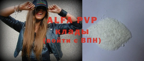 a pvp Бородино