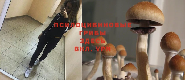 a pvp Бородино