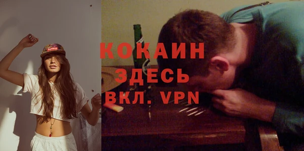 a pvp Бородино