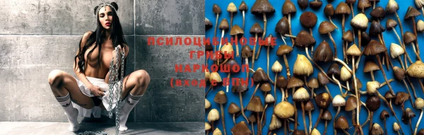 прущие крисы Бронницы