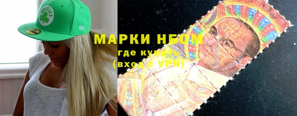 a pvp Бородино