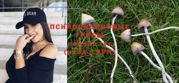 дживик Бугульма